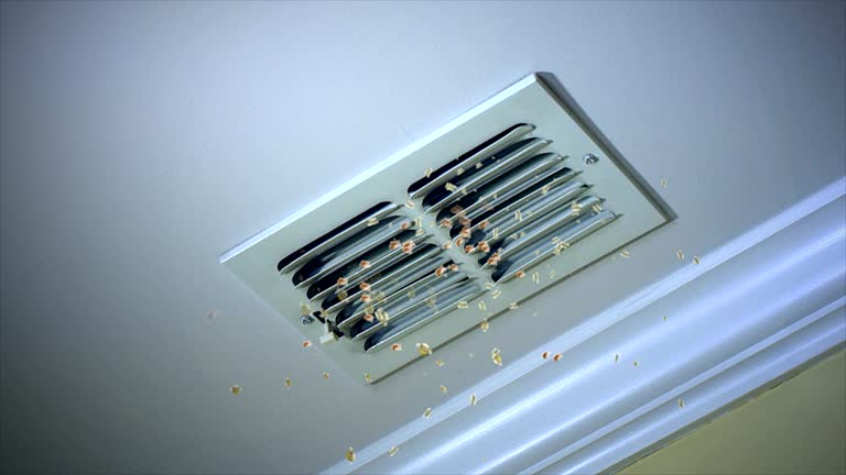 Best HVAC Air Duct Cleaning  in Sewalls Point, FL
