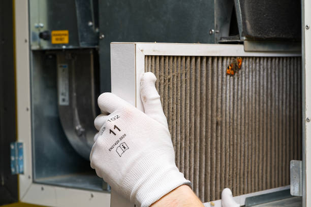 Best Affordable HVAC Duct Cleaning  in Sewalls Point, FL